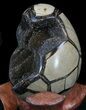 Septarian Dragon Egg Geode - Black Calcite Crystals #33997-3